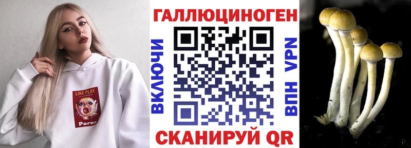Галлюциногенные грибы Psilocybe  Новочебоксарск 
